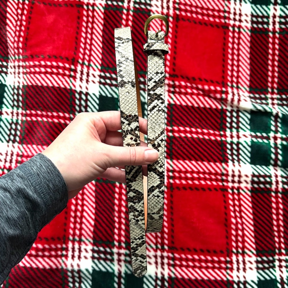 American Eagle Snakeskin Belt